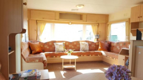 Avocet Holiday Van, close to beach - Pets go free